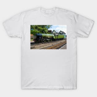 RHDR Green Goddess T-Shirt